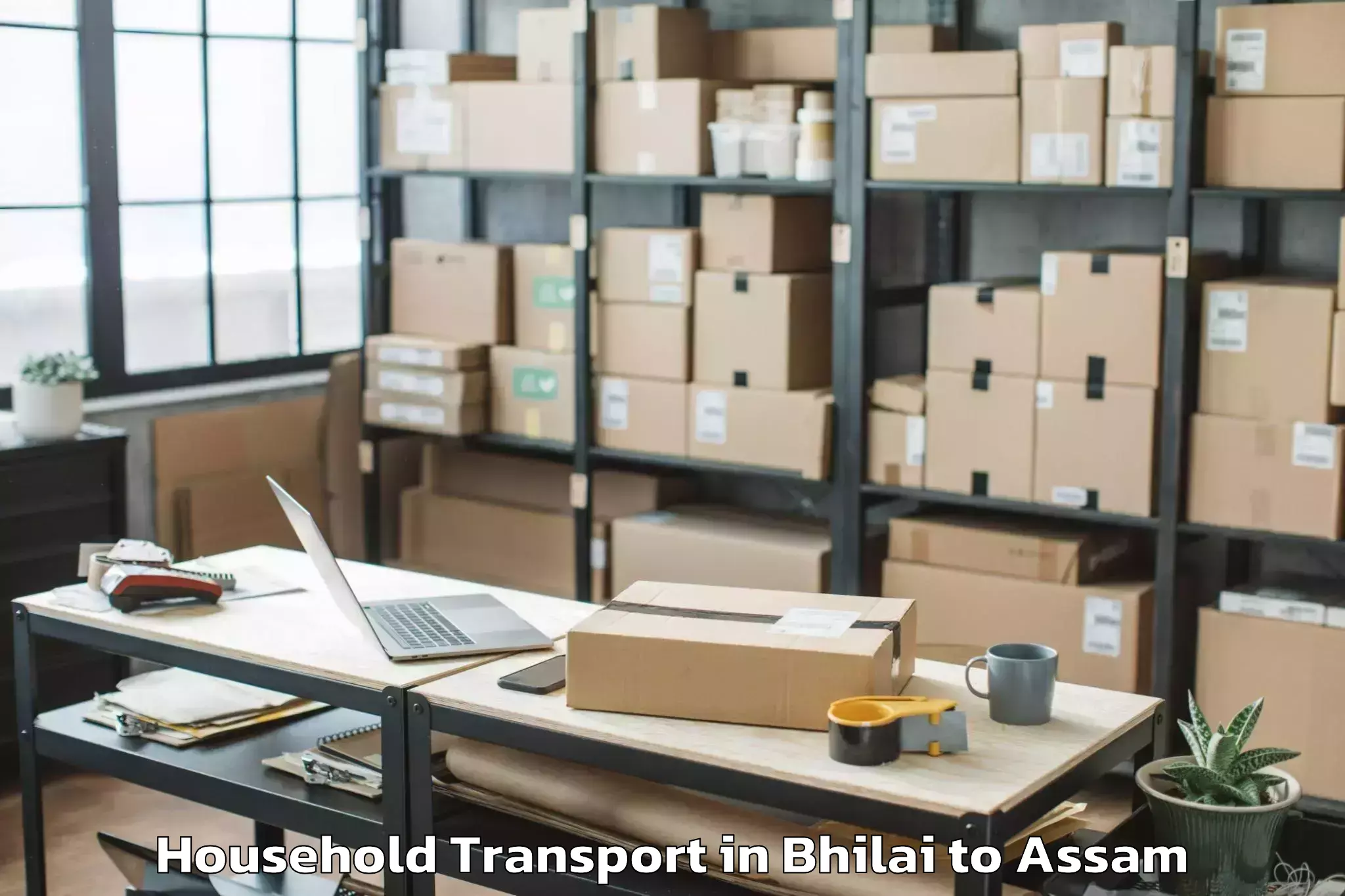 Reliable Bhilai to Udarbond Household Transport